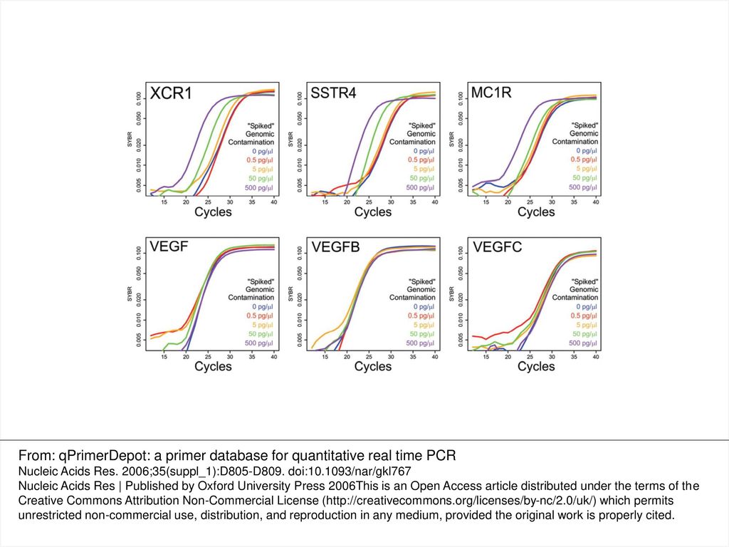 From: qPrimerDepot: a primer database for quantitative real time PCR