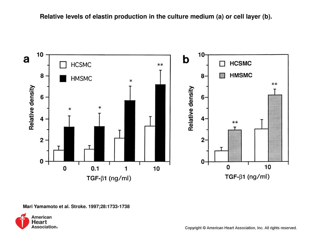 Relative levels of elastin production in the culture medium (a) or cell layer (b).