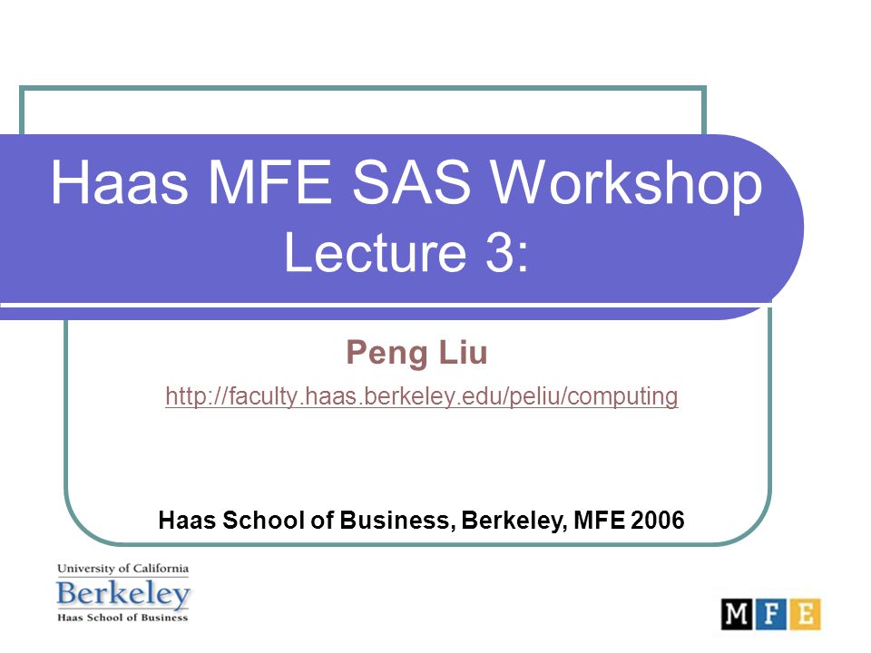 Haas MFE SAS Workshop Lecture 3: