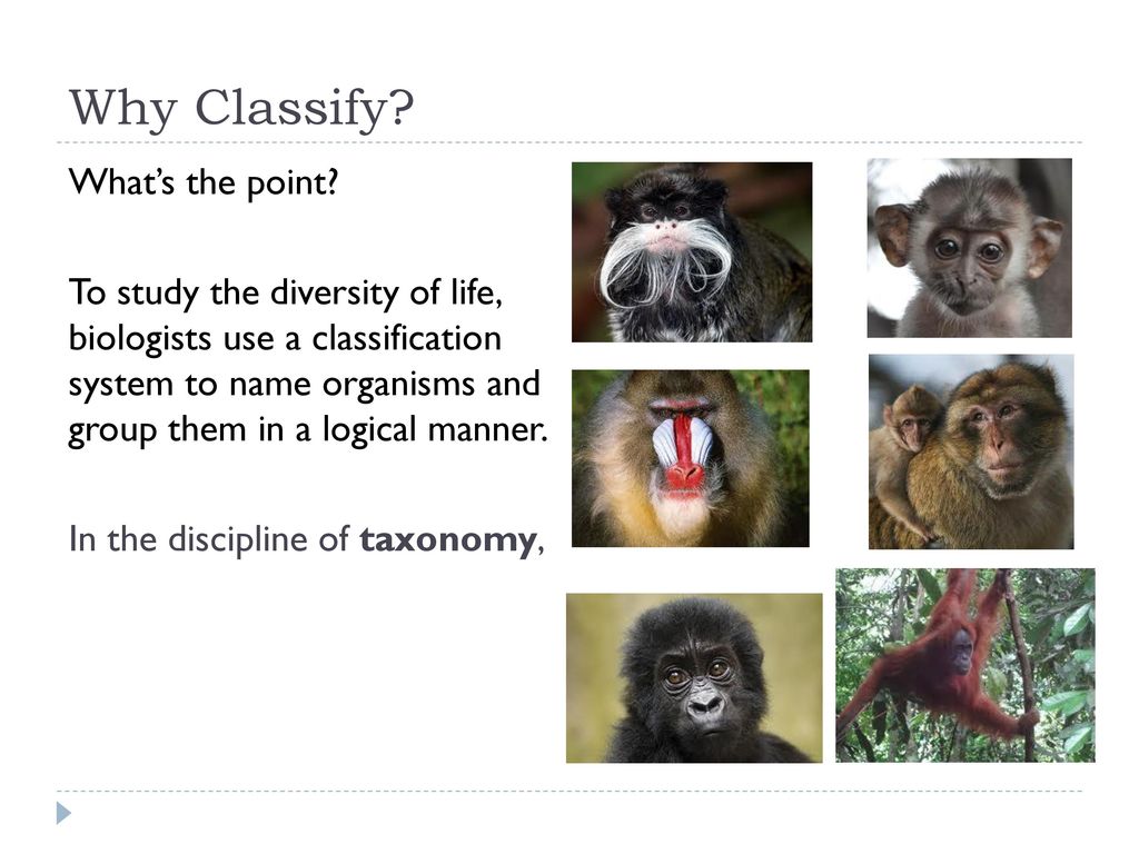 Why Classify