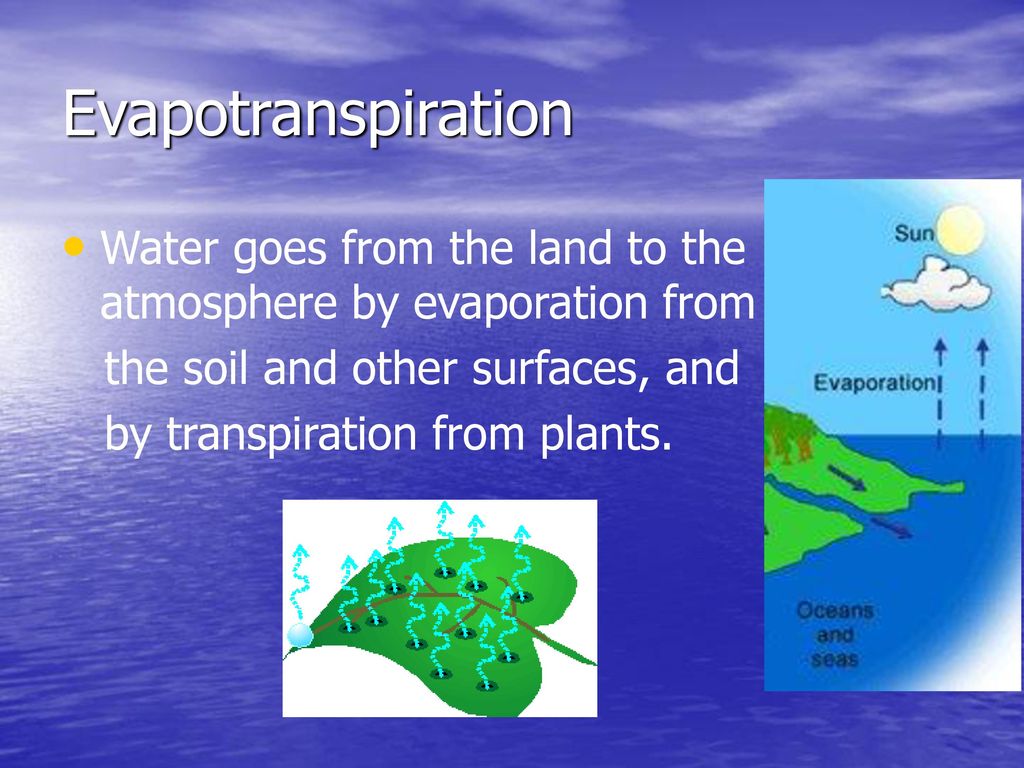 Evapotranspiration Water goes from the land to the atmosphere by evaporation from. the soil and other surfaces, and.