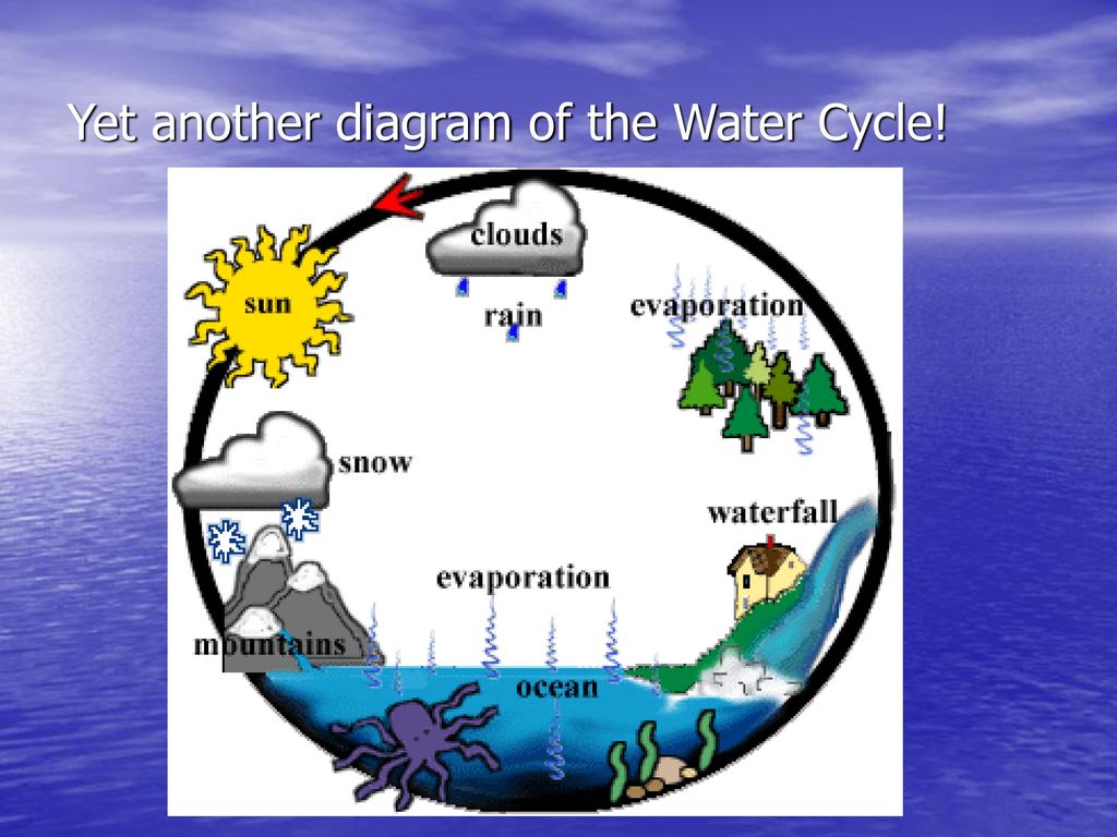Yet another diagram of the Water Cycle!