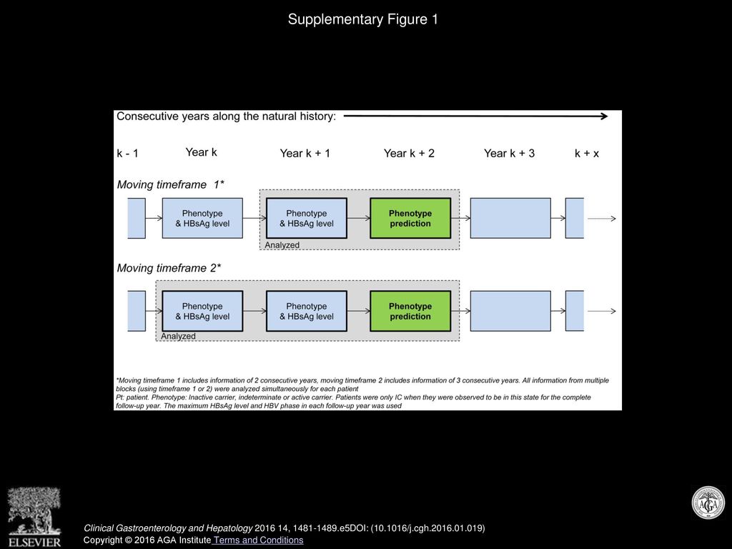 Supplementary Figure 1 Schematic example of dynamic regression analysis using a moving timeframe.