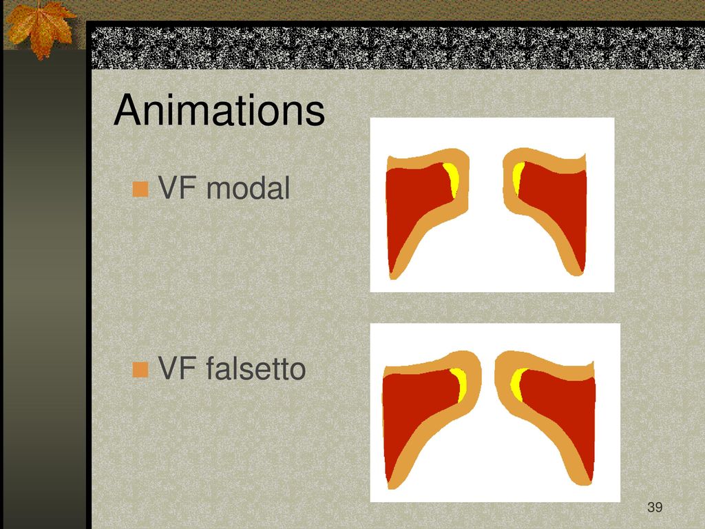 Animations VF modal VF falsetto