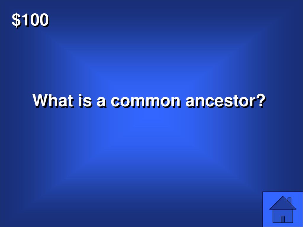 What is a common ancestor
