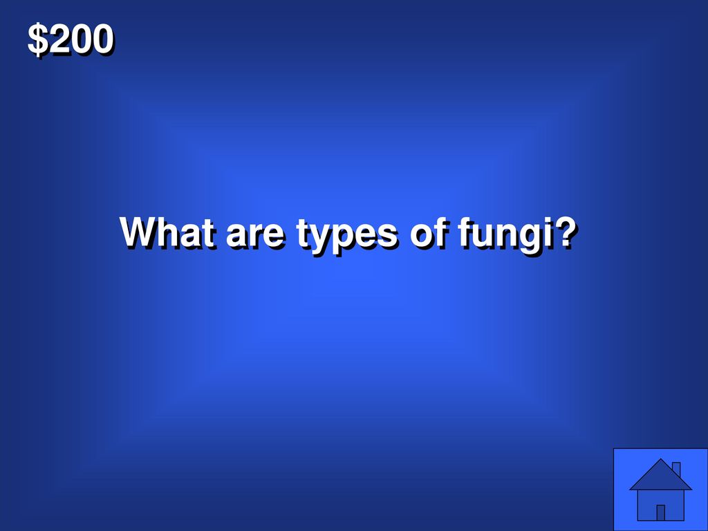 $200 What are types of fungi