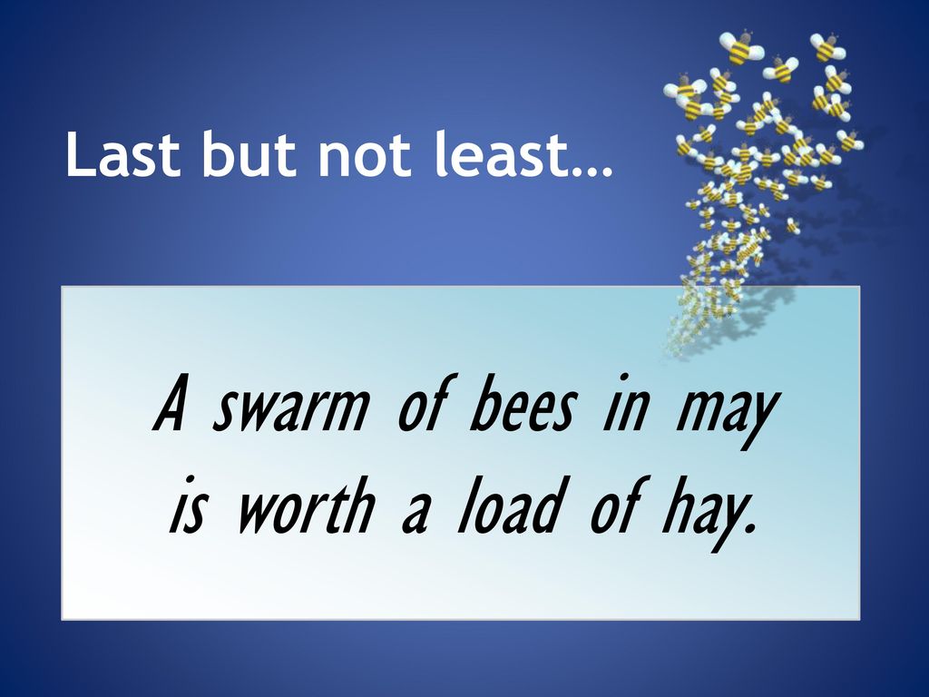 Last but not least… A swarm of bees in may is worth a load of hay.