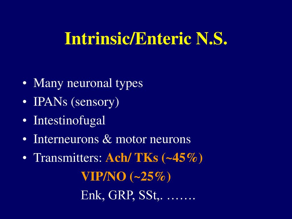 Intrinsic/Enteric N.S. Many neuronal types IPANs (sensory)