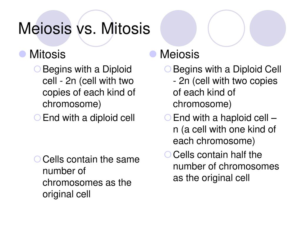 Meiosis vs. Mitosis Mitosis Meiosis