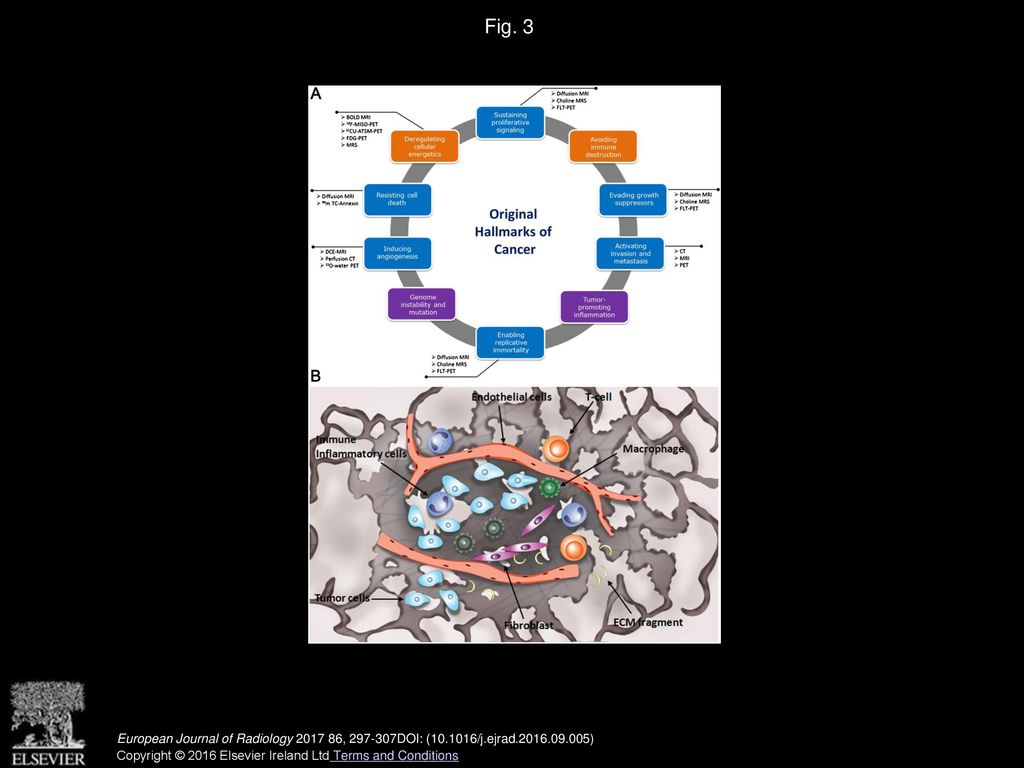 Fig. 3 Cancer hallmarks and corresponding functional imaging techniques.