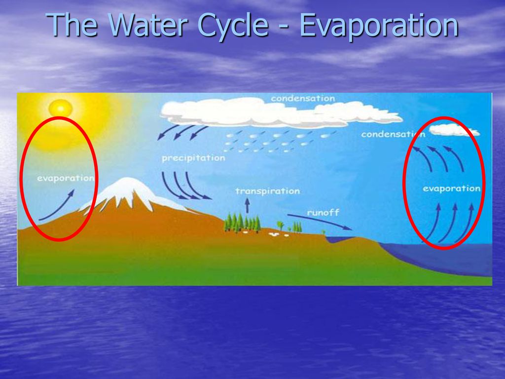 The Water Cycle - Evaporation