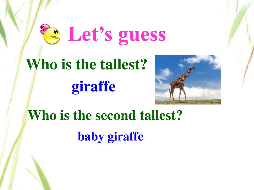 let\\'sgotiger,let\\'sgotiger广东 get to know animal names let"s guess tiger let"s guess lion let"