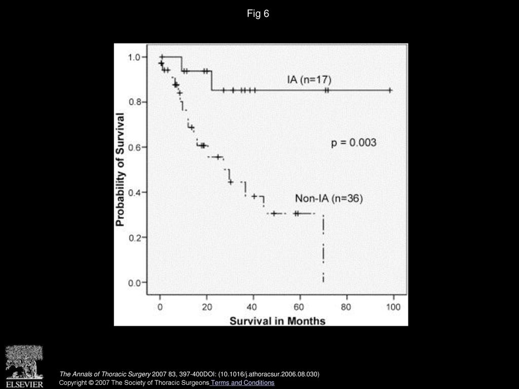 Fig 6 Overall survival based on the primary lesion’s original T status for IA versus all other stages.