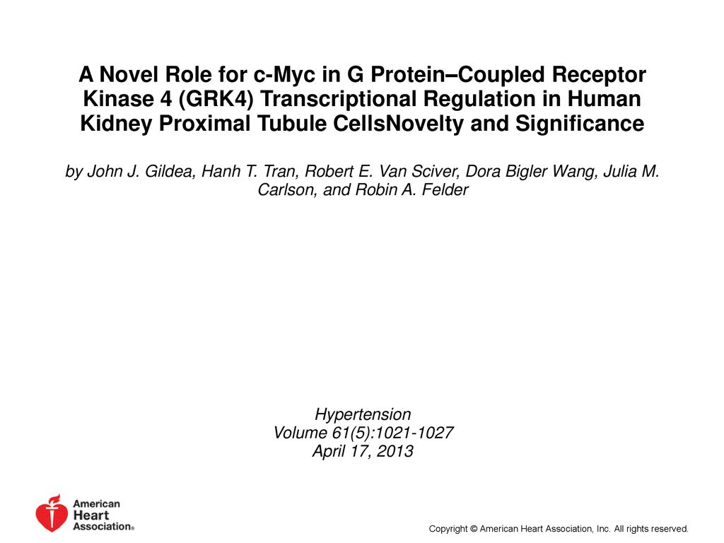 A Novel Role for c-Myc in G Protein–Coupled Receptor Kinase 4 (GRK4) Transcriptional Regulation in Human Kidney Proximal Tubule CellsNovelty and Significance