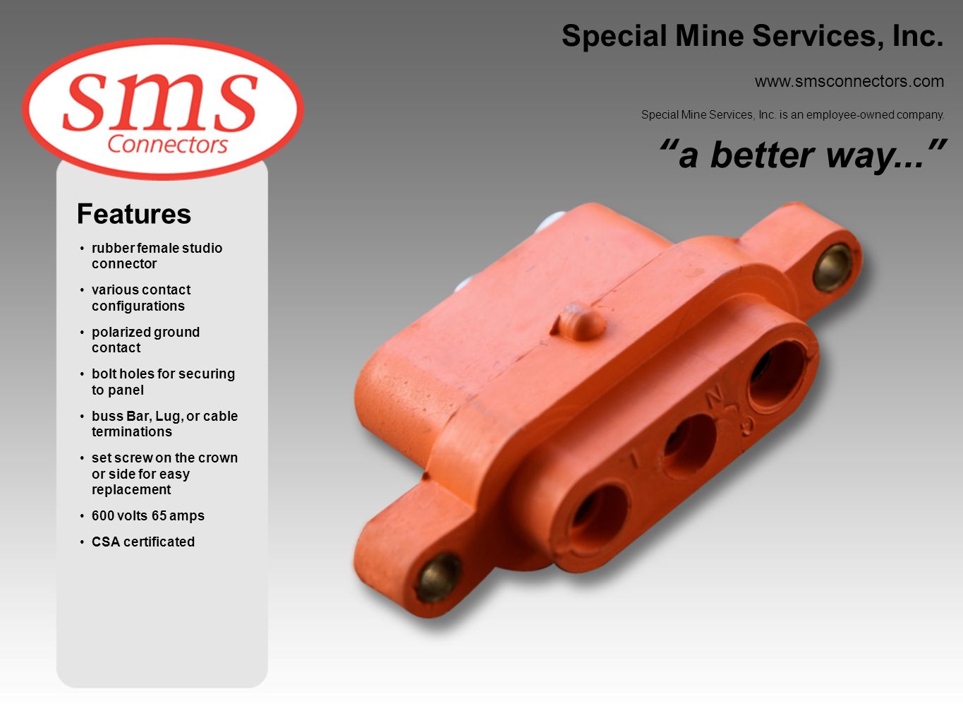 a better way... Special Mine Services, Inc. Features