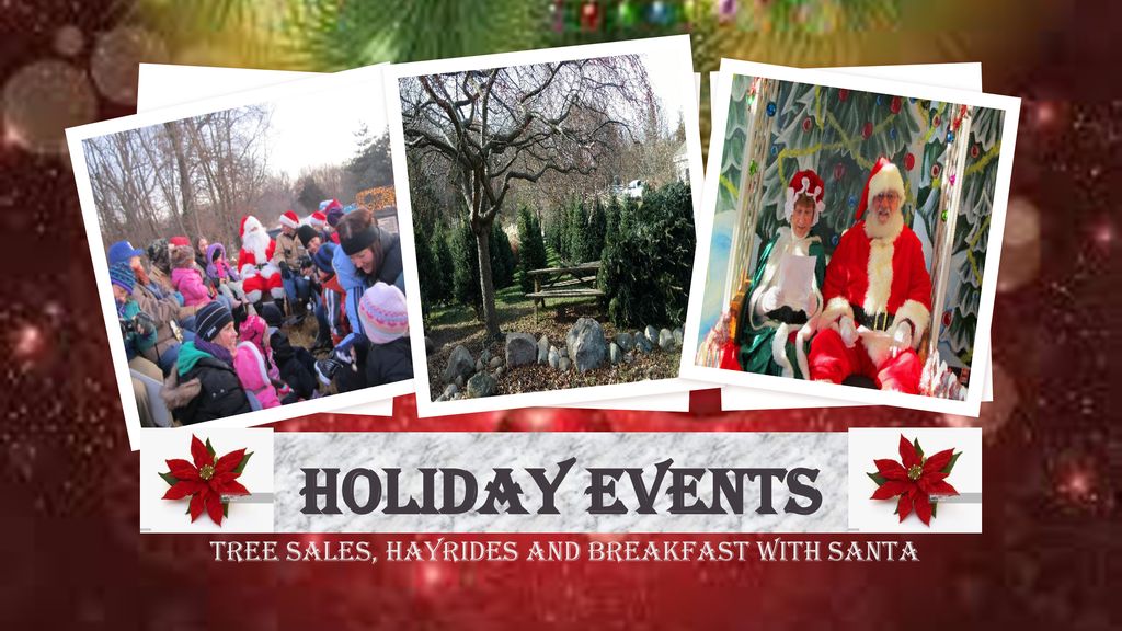 Tree Sales, Hayrides and Breakfast with Santa