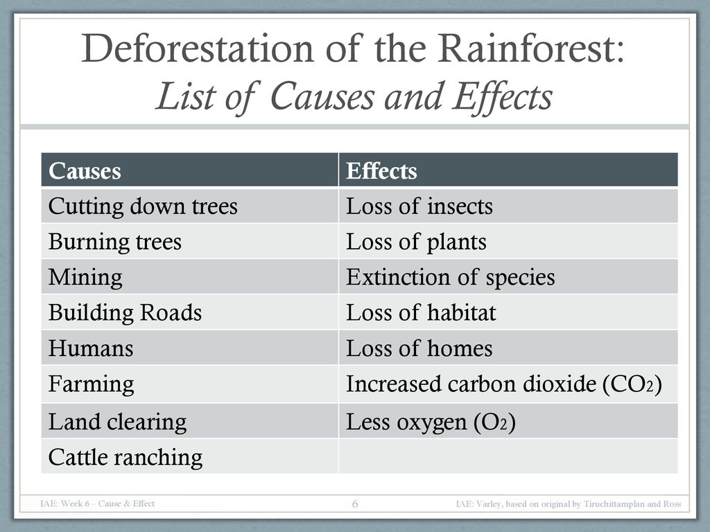 list of effects of deforestation