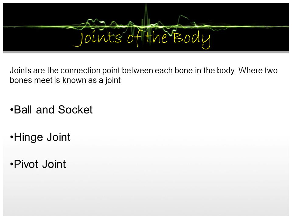 Joints of the Body Ball and Socket Hinge Joint Pivot Joint
