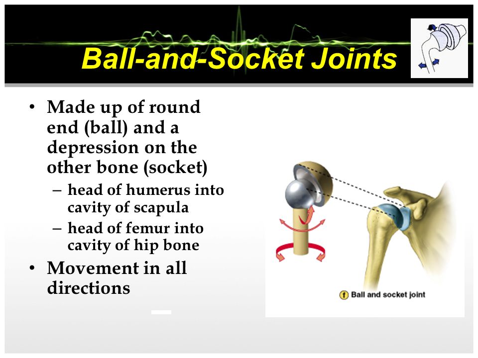 Ball-and-Socket Joints