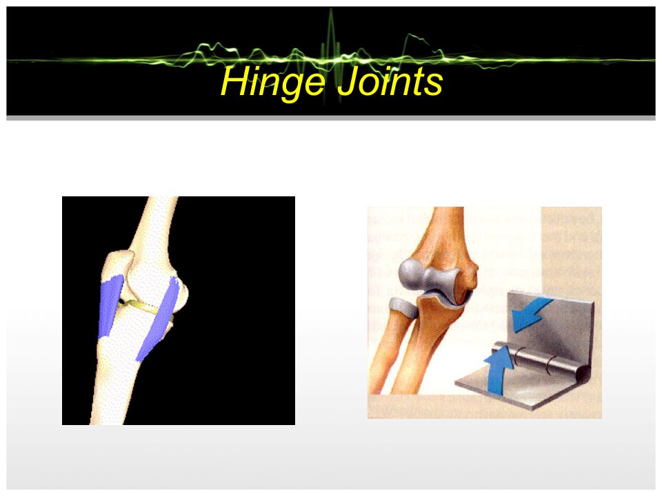 Hinge Joints