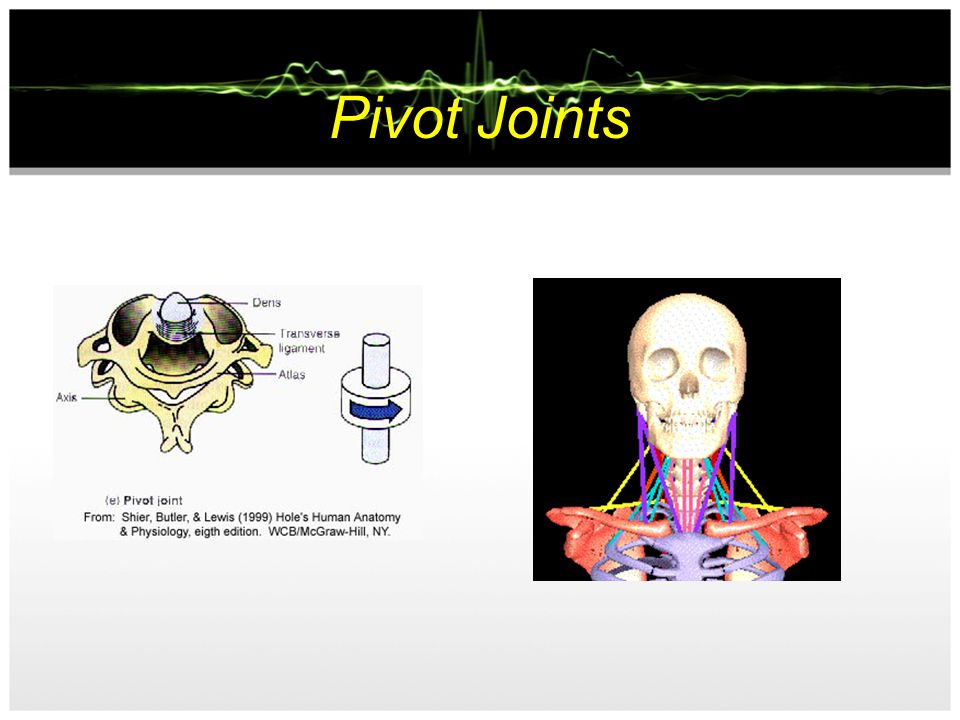 Pivot Joints