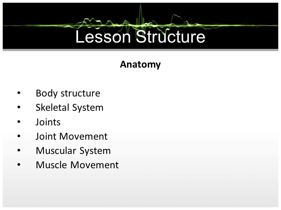 Lesson Structure Anatomy Body structure Skeletal System Joints