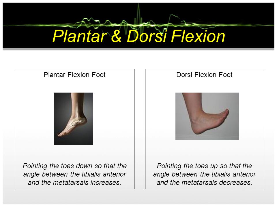 Plantar & Dorsi Flexion