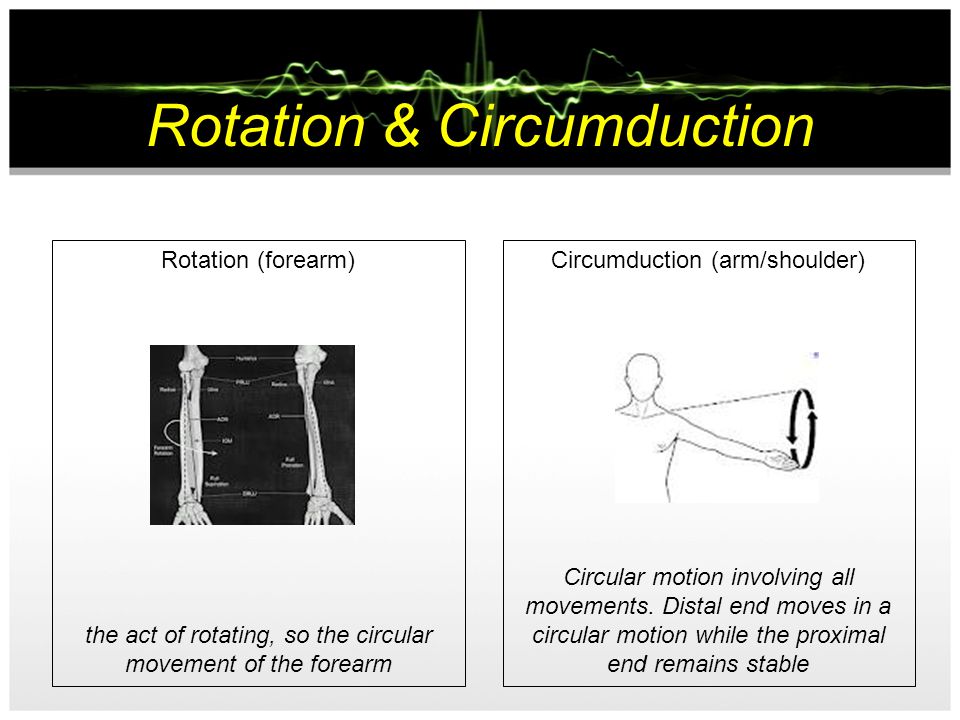 Rotation & Circumduction