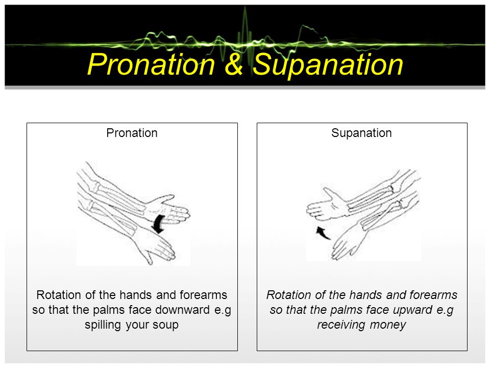 Pronation & Supanation