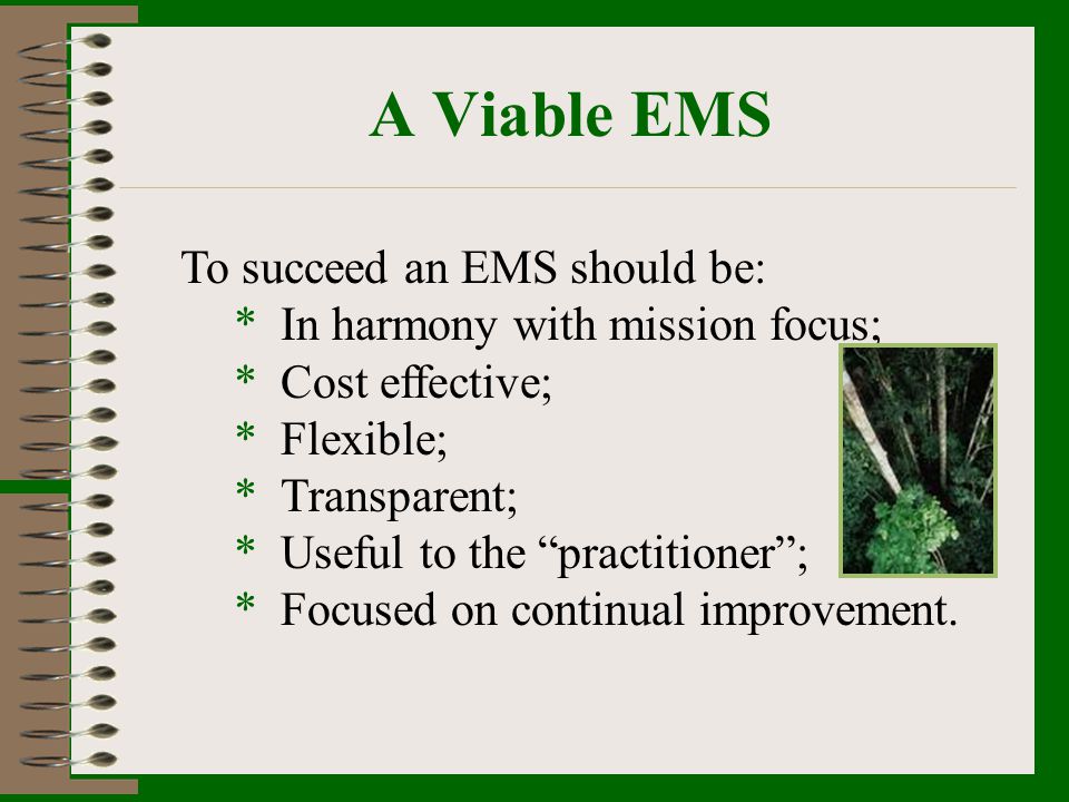 A Viable EMS To succeed an EMS should be: