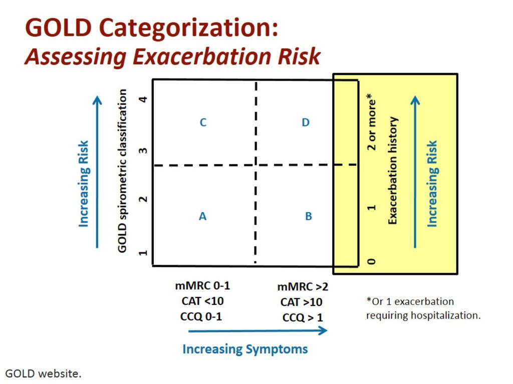 GOLD Categorization: Assessing Exacerbation Risk