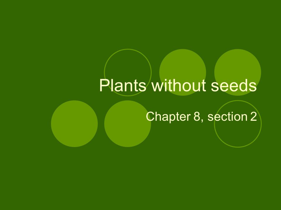 Plants without seeds Chapter 8, section 2