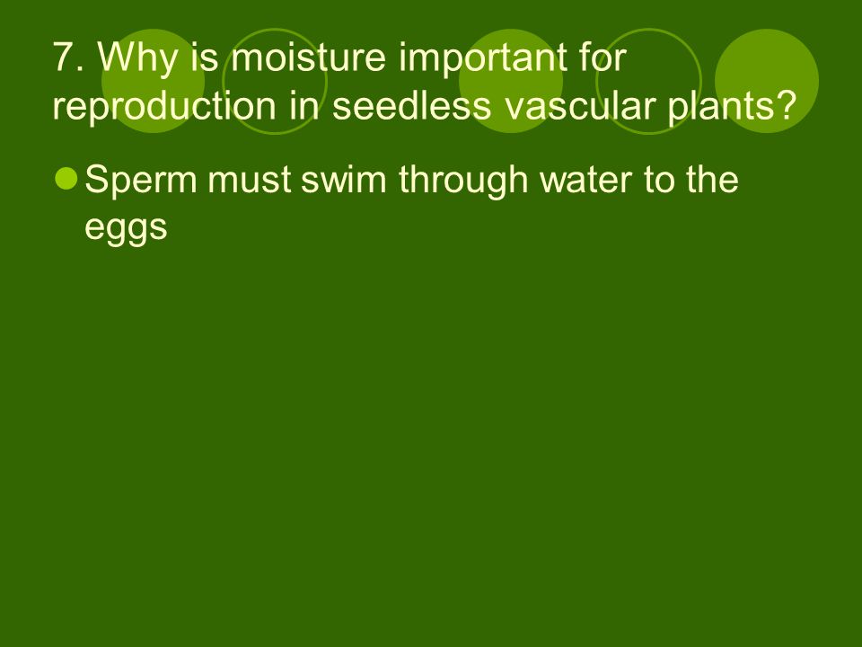 7. Why is moisture important for reproduction in seedless vascular plants