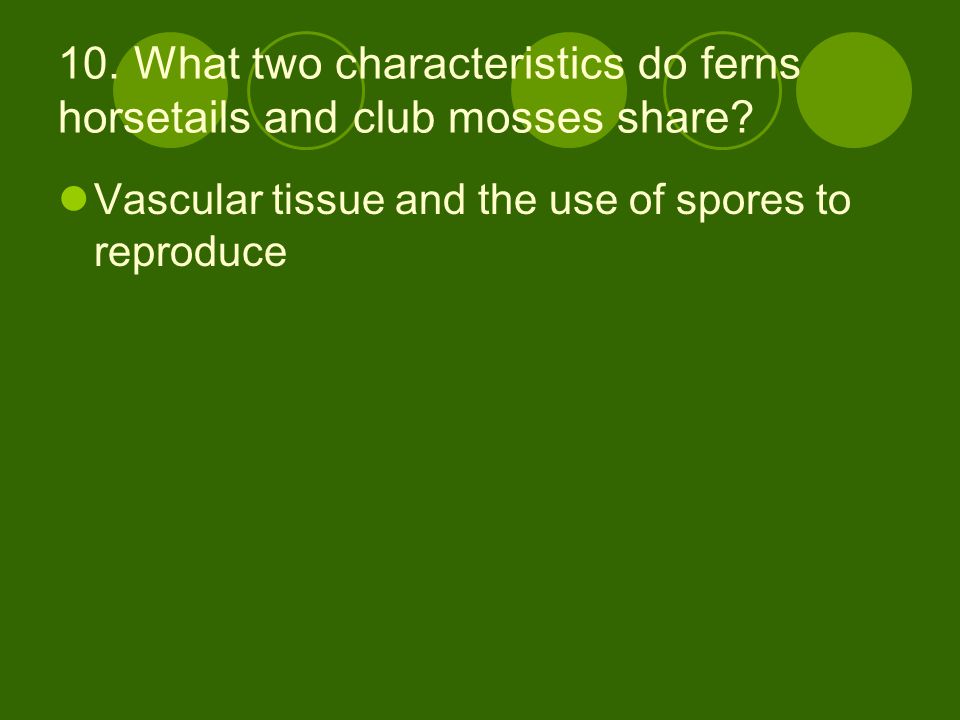 10. What two characteristics do ferns horsetails and club mosses share