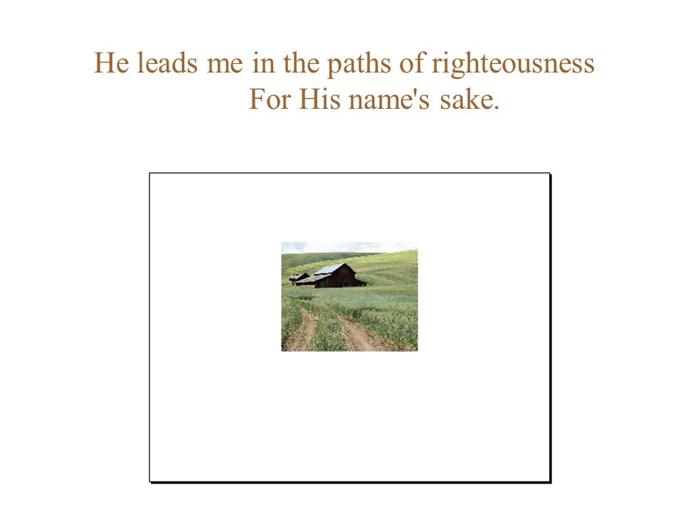 He leads me in the paths of righteousness For His name s sake.
