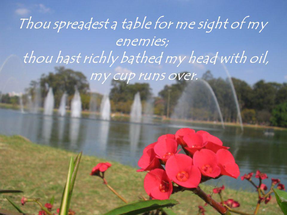 Thou spreadest a table for me sight of my enemies; thou hast richly bathed my head with oil, my cup runs over.