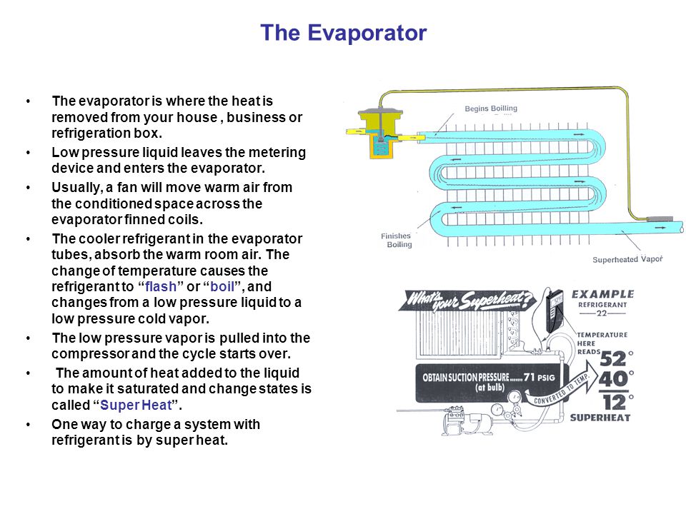 The Evaporator The evaporator is where the heat is removed from your house , business or refrigeration box.