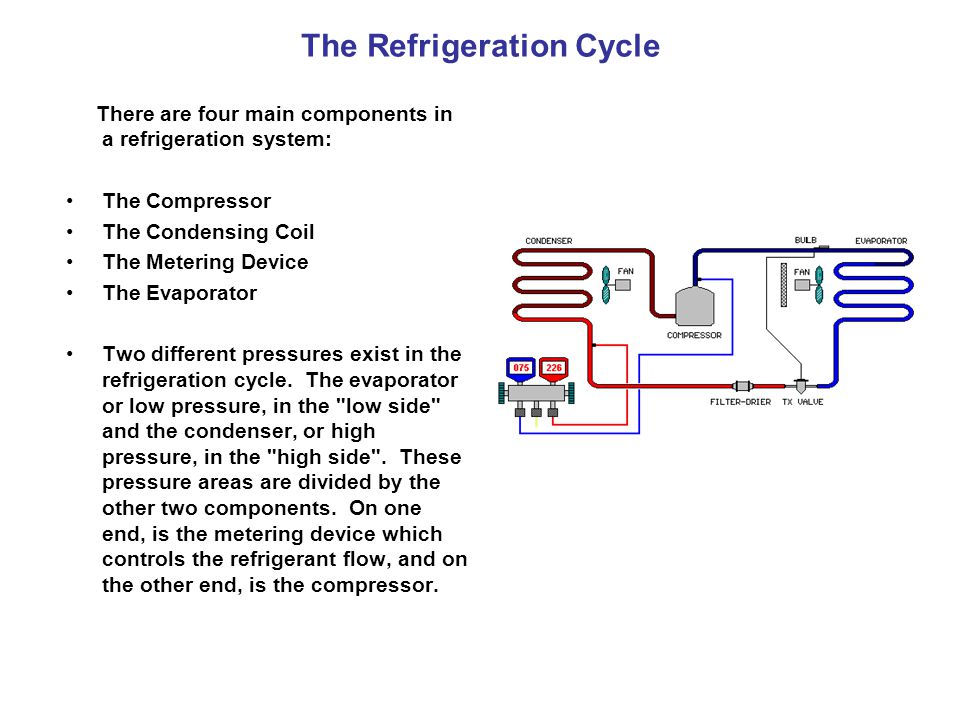 The Refrigeration Cycle