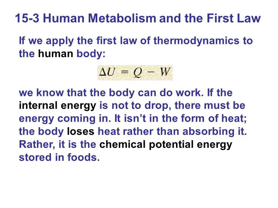 15-3 Human Metabolism and the First Law