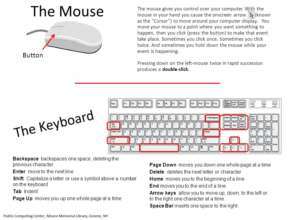 The Mouse The Keyboard Button