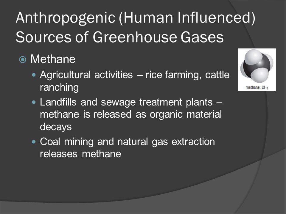 Anthropogenic (Human Influenced) Sources of Greenhouse Gases