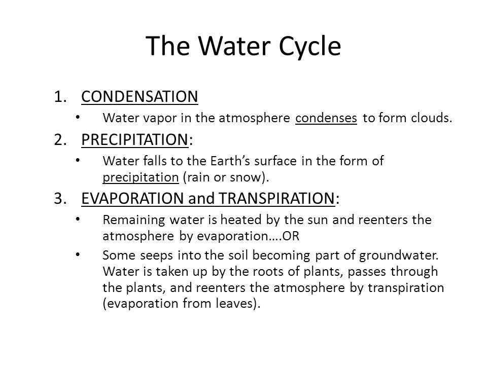 The Water Cycle CONDENSATION PRECIPITATION: