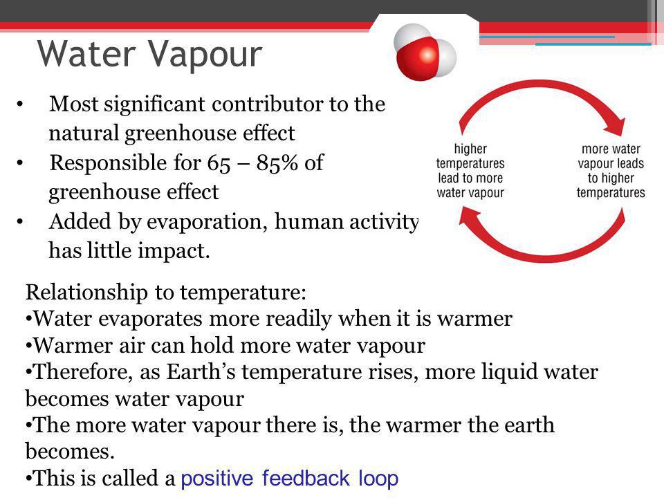 Water Vapour Most significant contributor to the