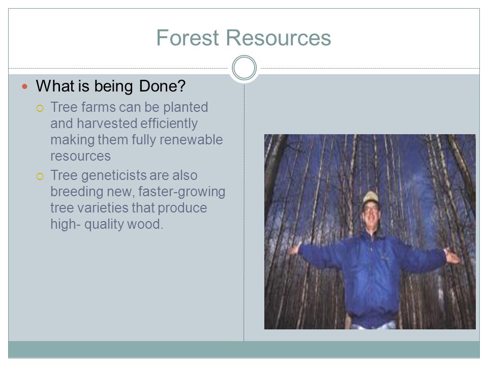 Forest Resources What is being Done