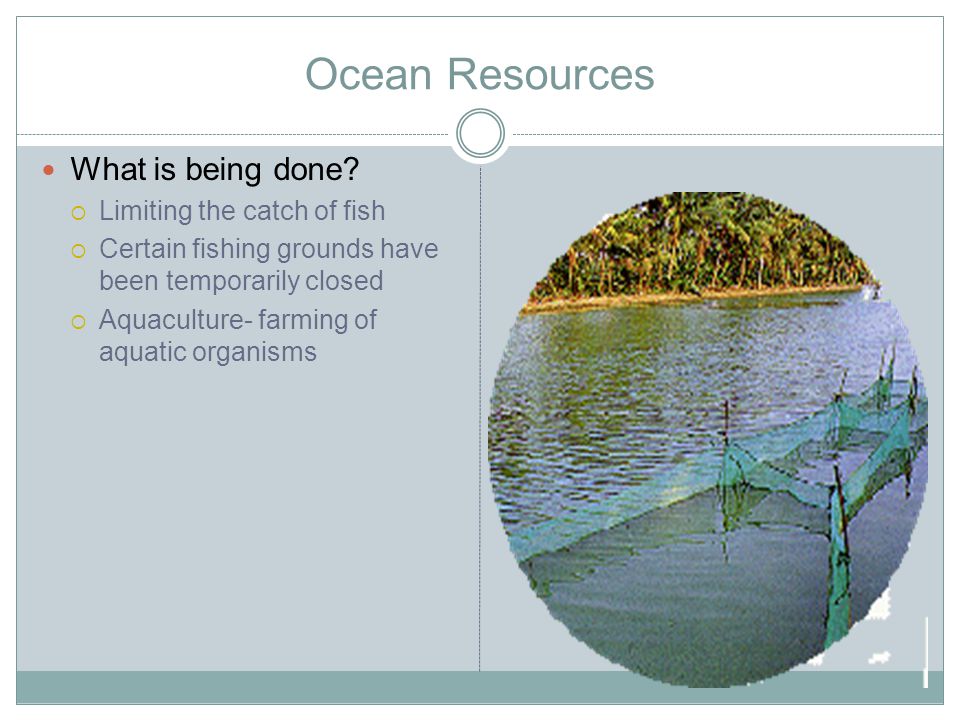 Ocean Resources What is being done Limiting the catch of fish