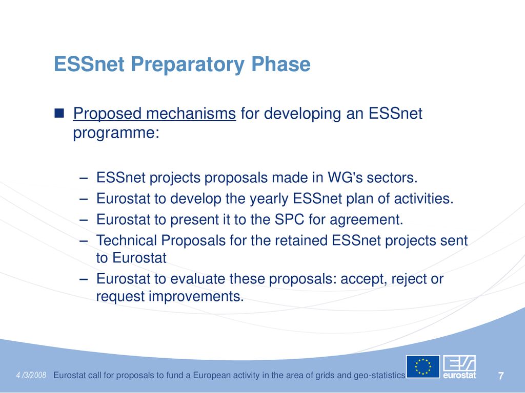 ESSnet Preparatory Phase