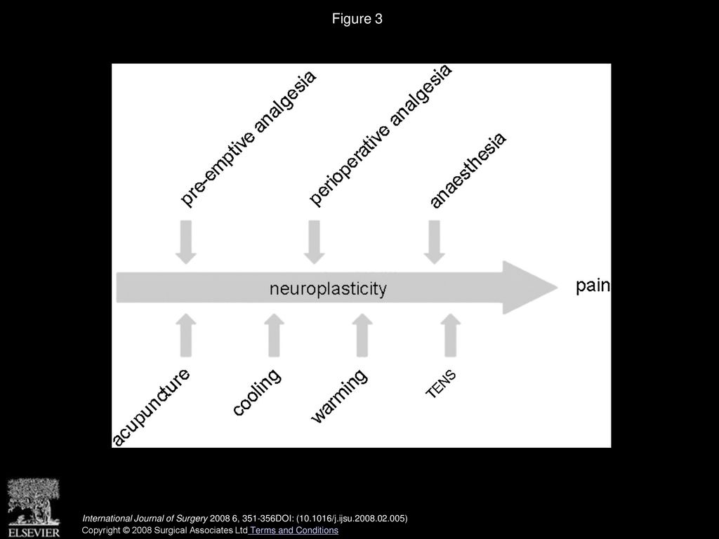 Figure 3 Medical pain reducing interventions. Above the arrow: anaesthesia, below the arrow: adjuvants.