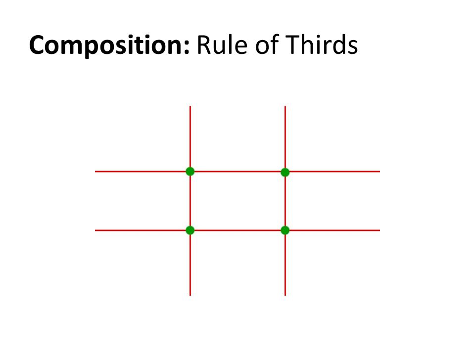 Composition: Rule of Thirds