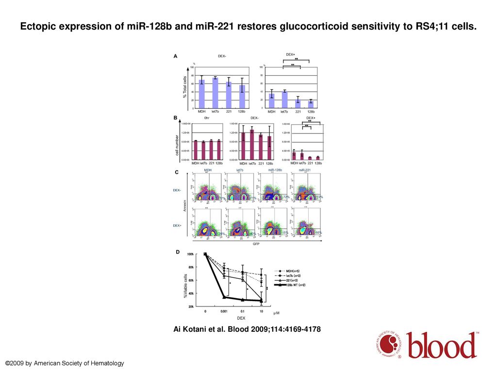 Ectopic expression of miR-128b and miR-221 restores glucocorticoid sensitivity to RS4;11 cells.