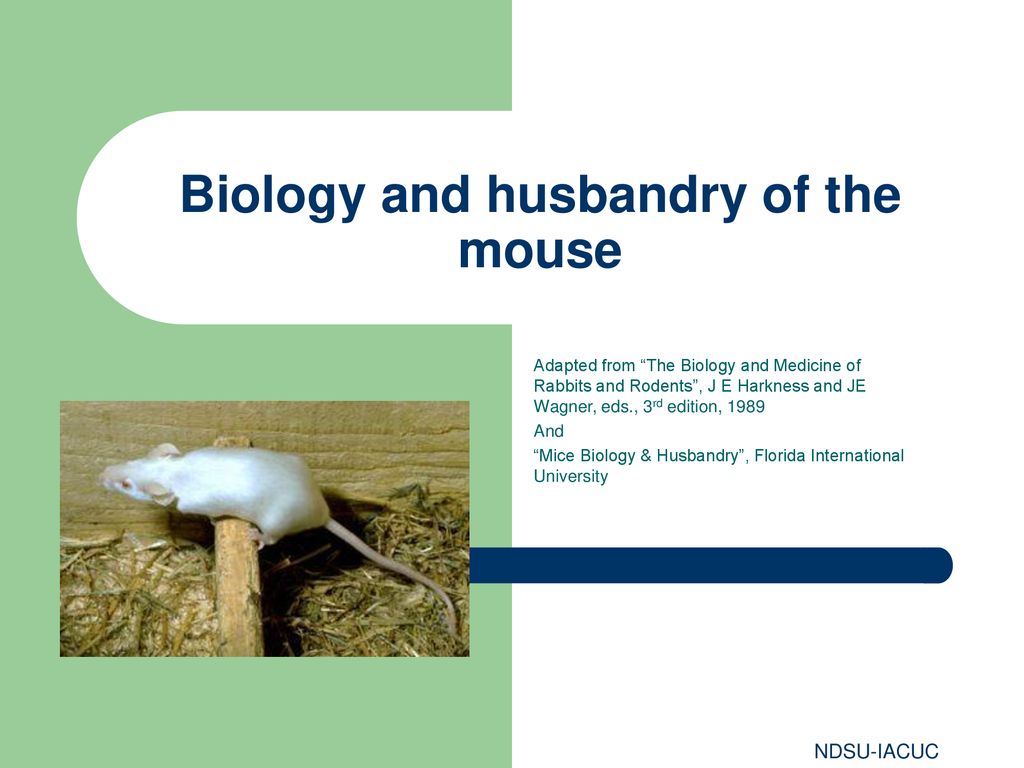 Biology and husbandry of the mouse